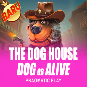 The Dog House - Dog or Alive